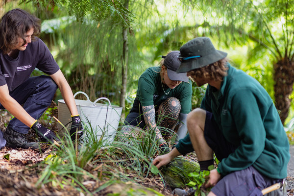 Apprentices hard at work maintaining park gardens Apprentices hard at work maintaining park gardens