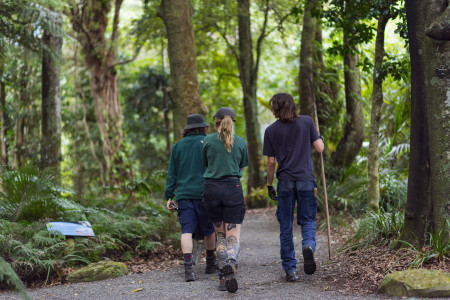 Horticulture Apprentices walking through a forested area Horticulture Apprentices walking through a forested area