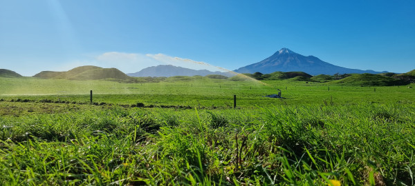 Irrigation application of effluent on a farm with Mt Taranaki in the background Irrigation application of effluent on a farm with Mt Taranaki in the background
