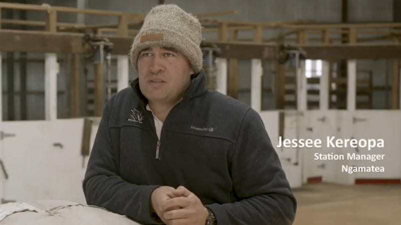 Jesse