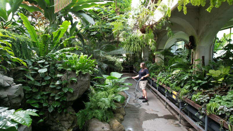 chch_botanic